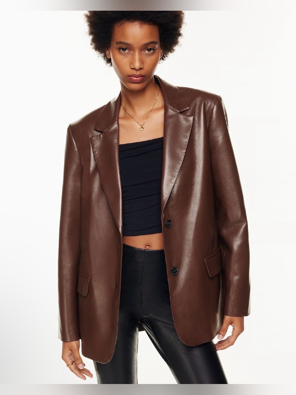 Aritzia Wilfred Memories Blazer
